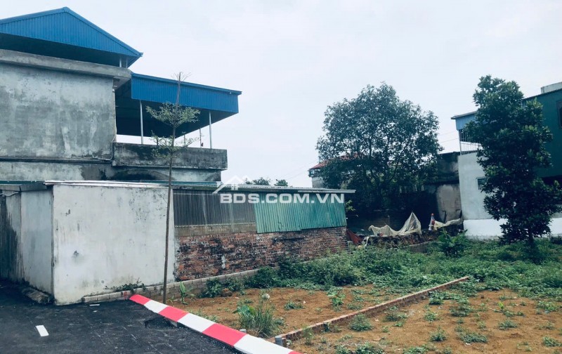 SỐC Bán  Lô Đất Giá Rẻ Nhất Hòa Lạc, Sổ Sẵn, Mua Là Lãi!